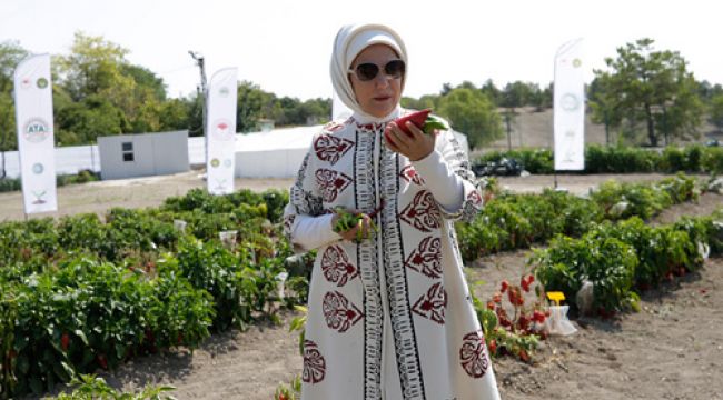 Emine Erdoğan, Ata Tohumu Projesi tanıtım toplantısına katıldı